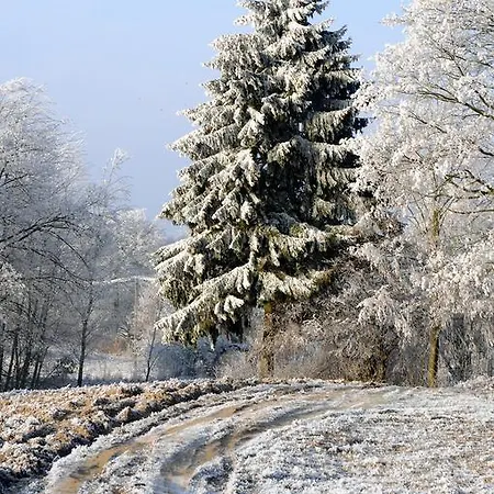 Siedlisko Leca Zurawie